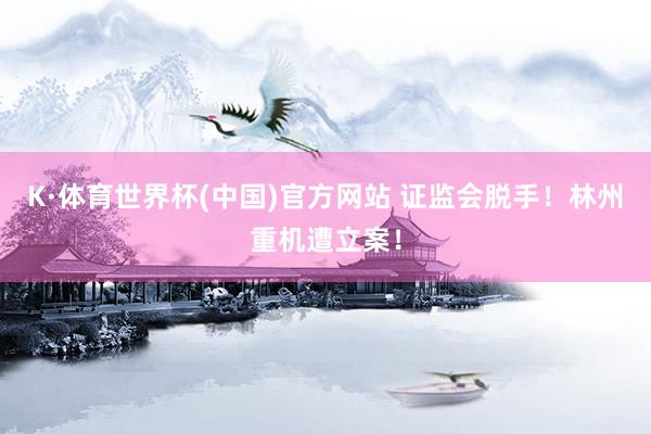 K·体育世界杯(中国)官方网站 证监会脱手！林州重机遭立案！