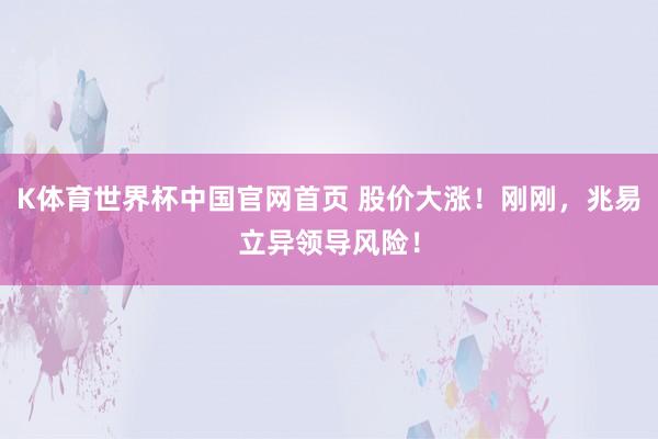 K体育世界杯中国官网首页 股价大涨!刚刚,兆易立异领导风险!