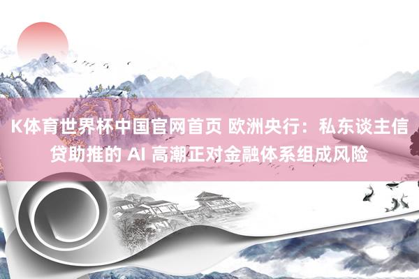 K体育世界杯中国官网首页 欧洲央行:私东谈主信贷助推的 AI 高潮正对金融体系组成风险