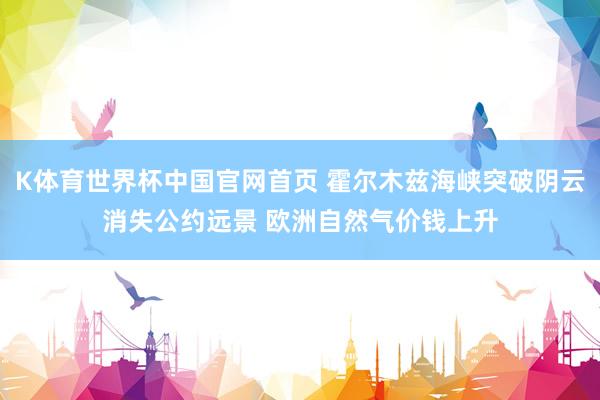 K体育世界杯中国官网首页 霍尔木兹海峡突破阴云消失公约远景 欧洲自然气价钱上升