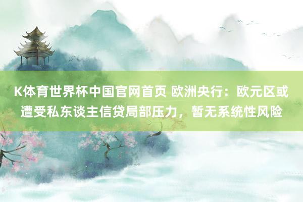 K体育世界杯中国官网首页 欧洲央行：欧元区或遭受私东谈主信贷局部压力，暂无系统性风险
