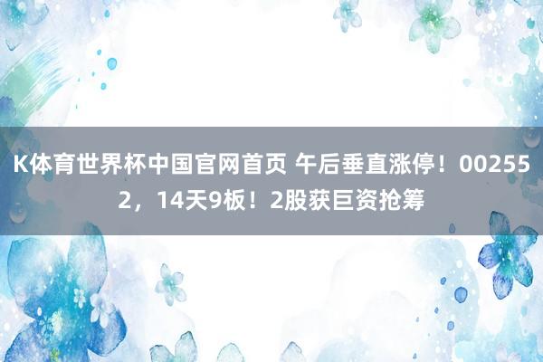 K体育世界杯中国官网首页 午后垂直涨停!002552,14天9板!2股获巨资抢筹