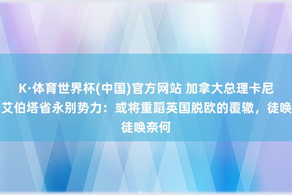 K·体育世界杯(中国)官方网站 加拿大总理卡尼警示艾伯塔省永别势力：或将重蹈英国脱欧的覆辙，徒唤奈何