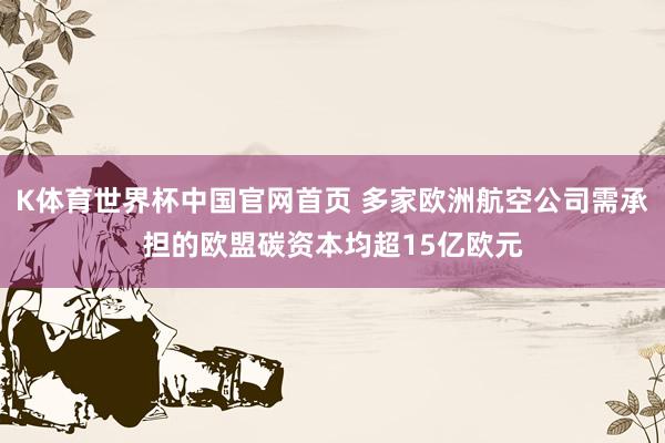 K体育世界杯中国官网首页 多家欧洲航空公司需承担的欧盟碳资本均超15亿欧元