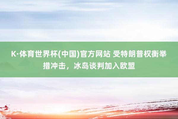 K·体育世界杯(中国)官方网站 受特朗普权衡举措冲击，冰岛谈判加入欧盟