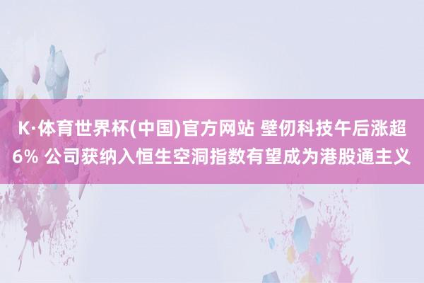 K·体育世界杯(中国)官方网站 壁仞科技午后涨超6% 公司获纳入恒生空洞指数有望成为港股通主义