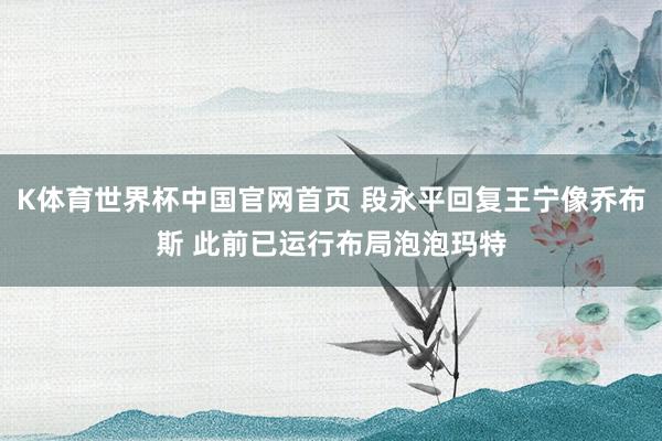 K体育世界杯中国官网首页 段永平回复王宁像乔布斯 此前已运行布局泡泡玛特