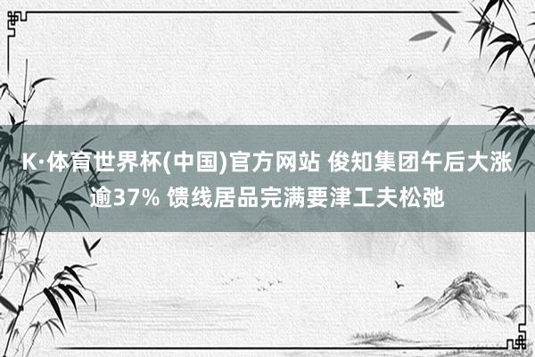 K·体育世界杯(中国)官方网站 俊知集团午后大涨逾37% 馈线居品完满要津工夫松弛