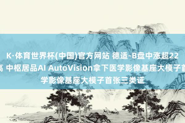 K·体育世界杯(中国)官方网站 德适-B盘中涨超22%再鼎新高 中枢居品AI AutoVision拿下医学影像基座大模子首张三类证