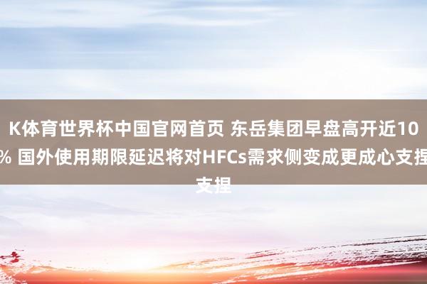 K体育世界杯中国官网首页 东岳集团早盘高开近10% 国外使用期限延迟将对HFCs需求侧变成更成心支捏
