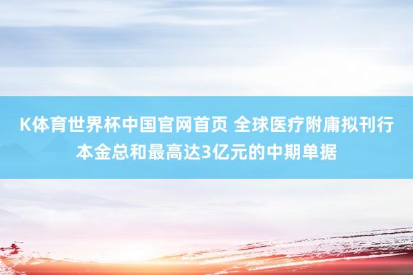 K体育世界杯中国官网首页 全球医疗附庸拟刊行本金总和最高达3亿元的中期单据