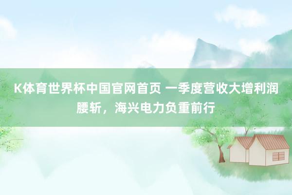 K体育世界杯中国官网首页 一季度营收大增利润腰斩，海兴电力负重前行