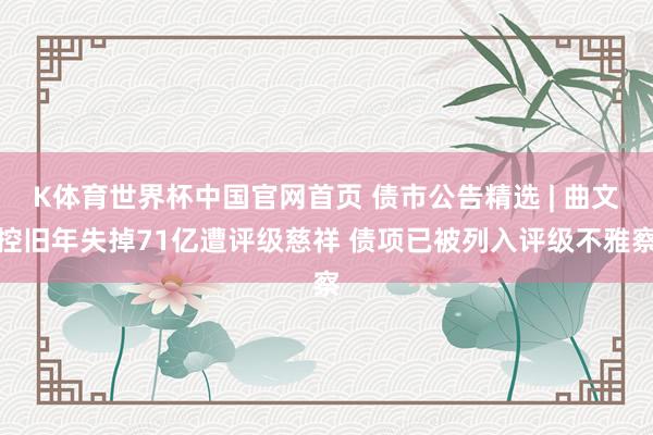 K体育世界杯中国官网首页 债市公告精选 | 曲文控旧年失掉71亿遭评级慈祥 债项已被列入评级不雅察