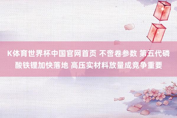 K体育世界杯中国官网首页 不啻卷参数 第五代磷酸铁锂加快落地 高压实材料放量成竞争重要