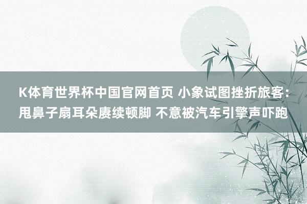 K体育世界杯中国官网首页 小象试图挫折旅客:甩鼻子扇耳朵赓续顿脚 不意被汽车引擎声吓跑