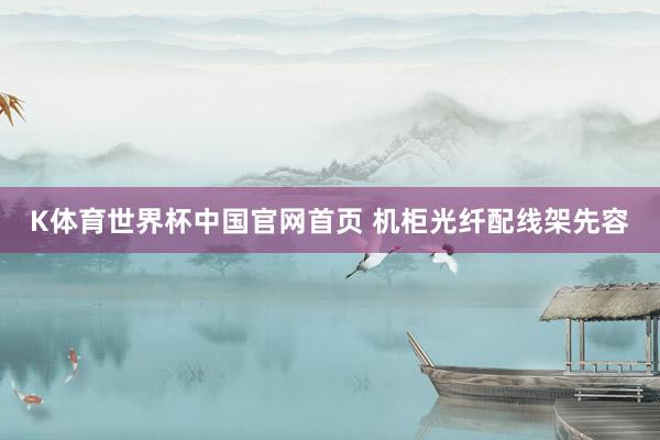 K体育世界杯中国官网首页 机柜光纤配线架先容