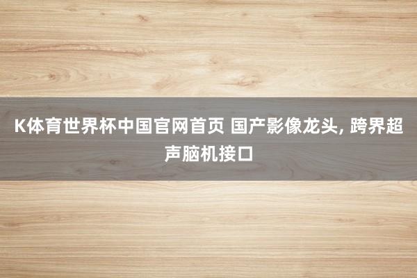 K体育世界杯中国官网首页 国产影像龙头， 跨界超声脑机接口