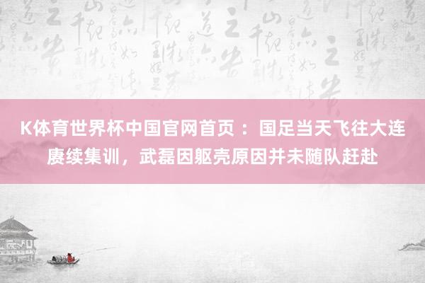 K体育世界杯中国官网首页 ：国足当天飞往大连赓续集训，武磊因躯壳原因并未随队赶赴