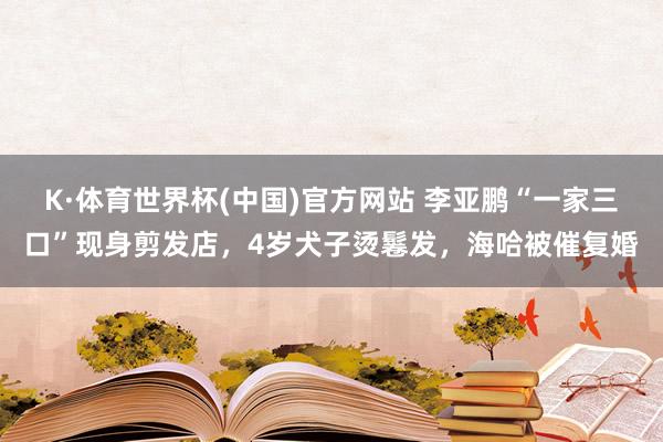 K·体育世界杯(中国)官方网站 李亚鹏“一家三口”现身剪发店，4岁犬子烫鬈发，海哈被催复婚