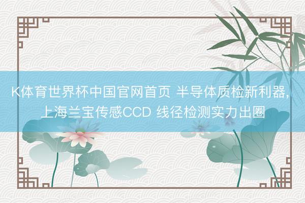 K体育世界杯中国官网首页 半导体质检新利器， 上海兰宝传感CCD 线径检测实力出圈