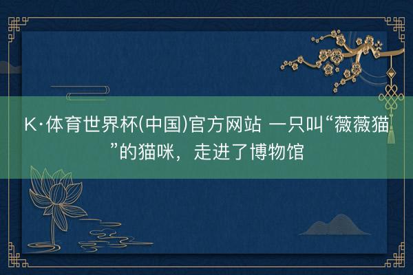 K·体育世界杯(中国)官方网站 一只叫“薇薇猫”的猫咪，走进了博物馆