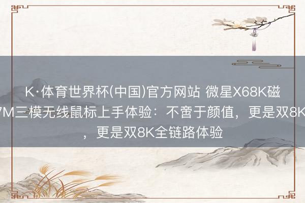 K·体育世界杯(中国)官方网站 微星X68K磁轴键盘与X7M三模无线鼠标上手体验:不啻于颜值,更是双8K全链路体验